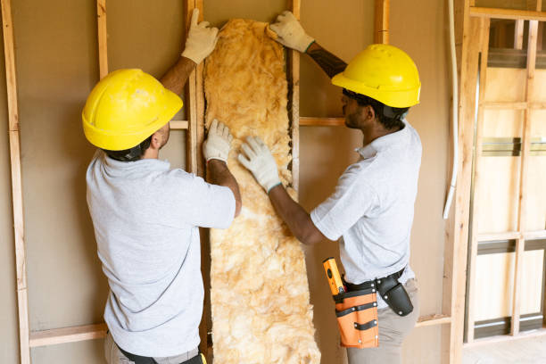 Best Professional Insulation Contractor  in Weleetka, OK