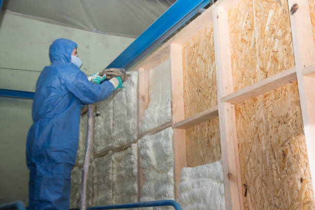 Best Insulation for New Construction  in Weleetka, OK